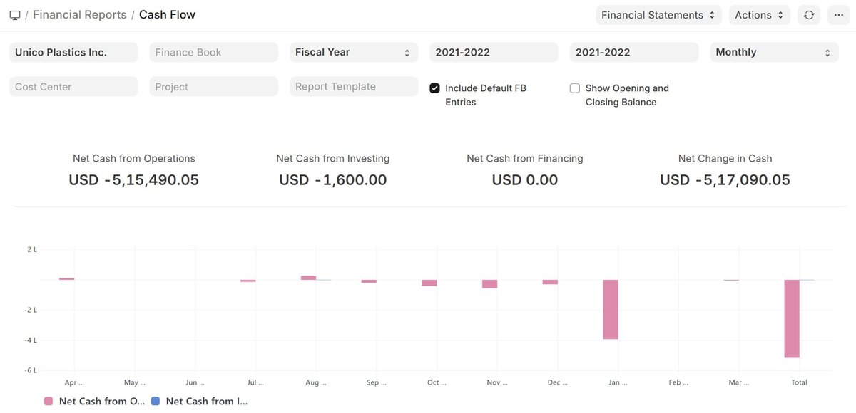 ERP — Cash Flow Report